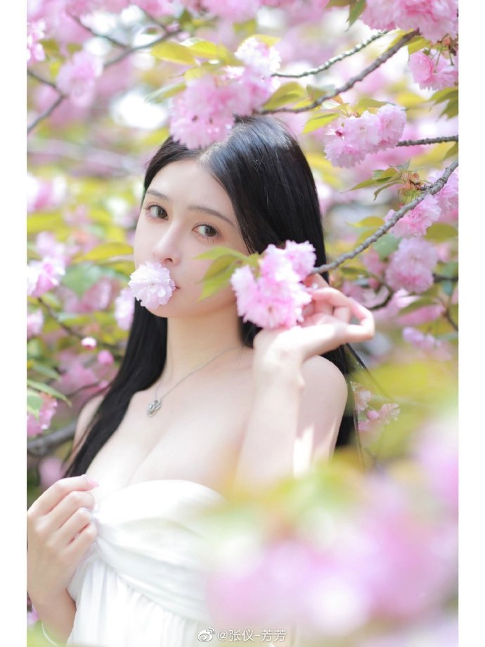 蝙蝠侠：黑暗骑士 封面